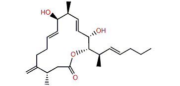 Amphidinolide J